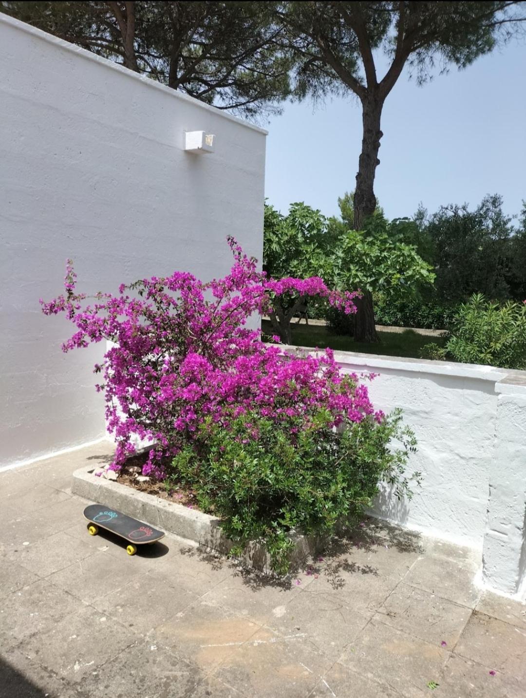 Casa Azzurra Conca Specchiulla Exterior foto